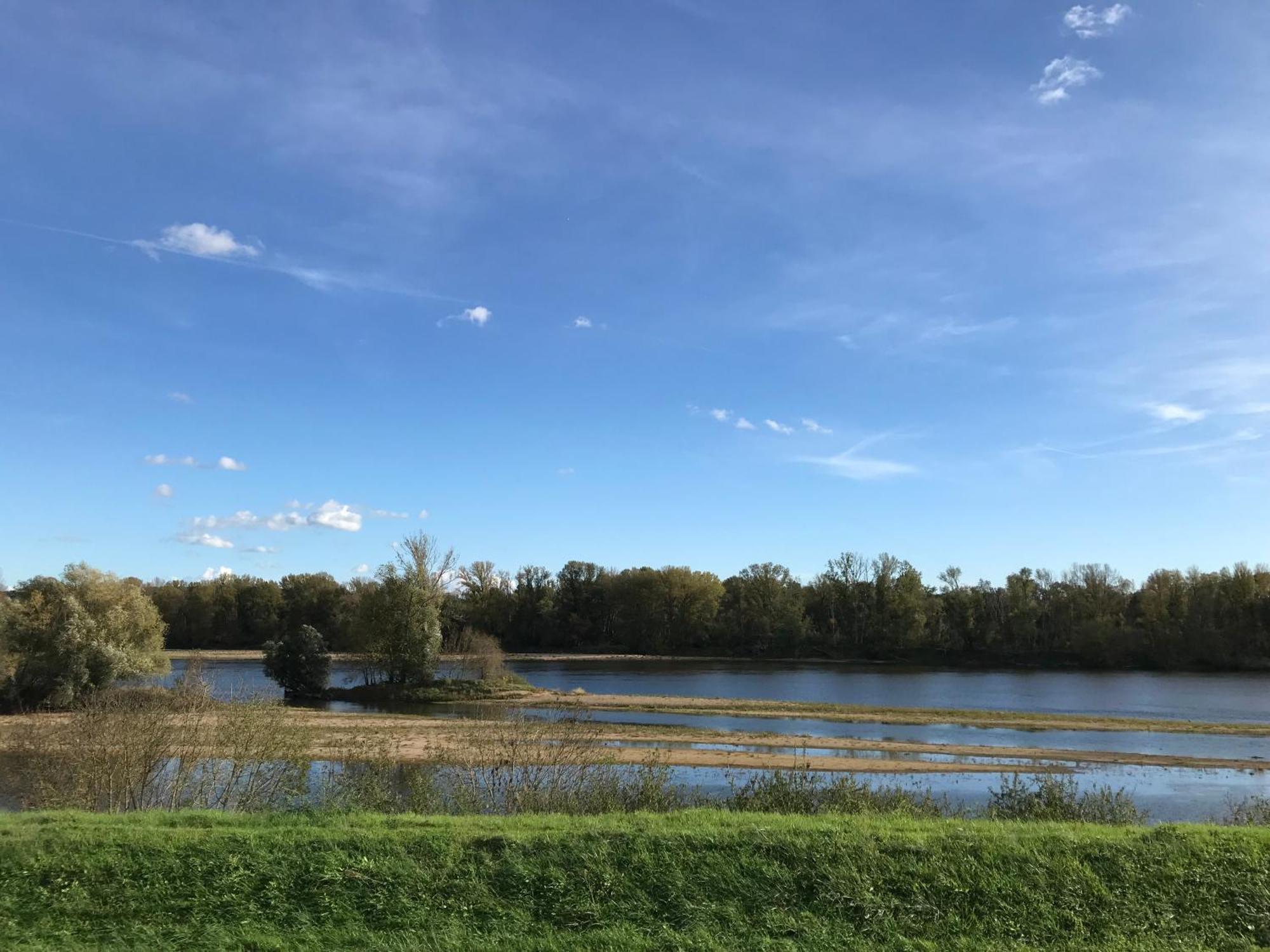 Jacuzzi Et Vue Sur Loire - Maison D'Hotes L'Odyssee La Chapelle-sur-Loire Eksteriør bilde